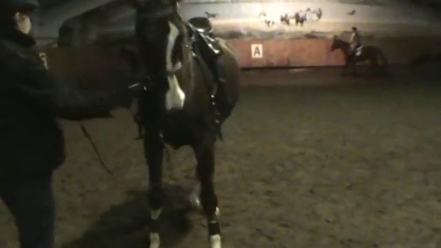 4 Уступка шенкелю в руках смотреть онлайн