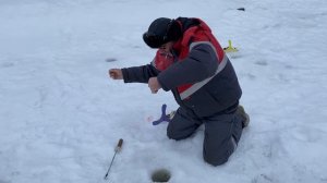 Классическая паста для форели работает всегда (желтый сыр)