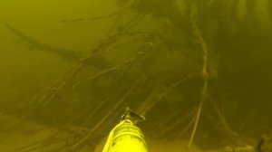 Подводная охота на Волге. город Балаково.