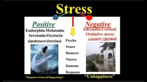 12.  STRESS AND HEAVEN - DR. V. CHOCKALINGAM