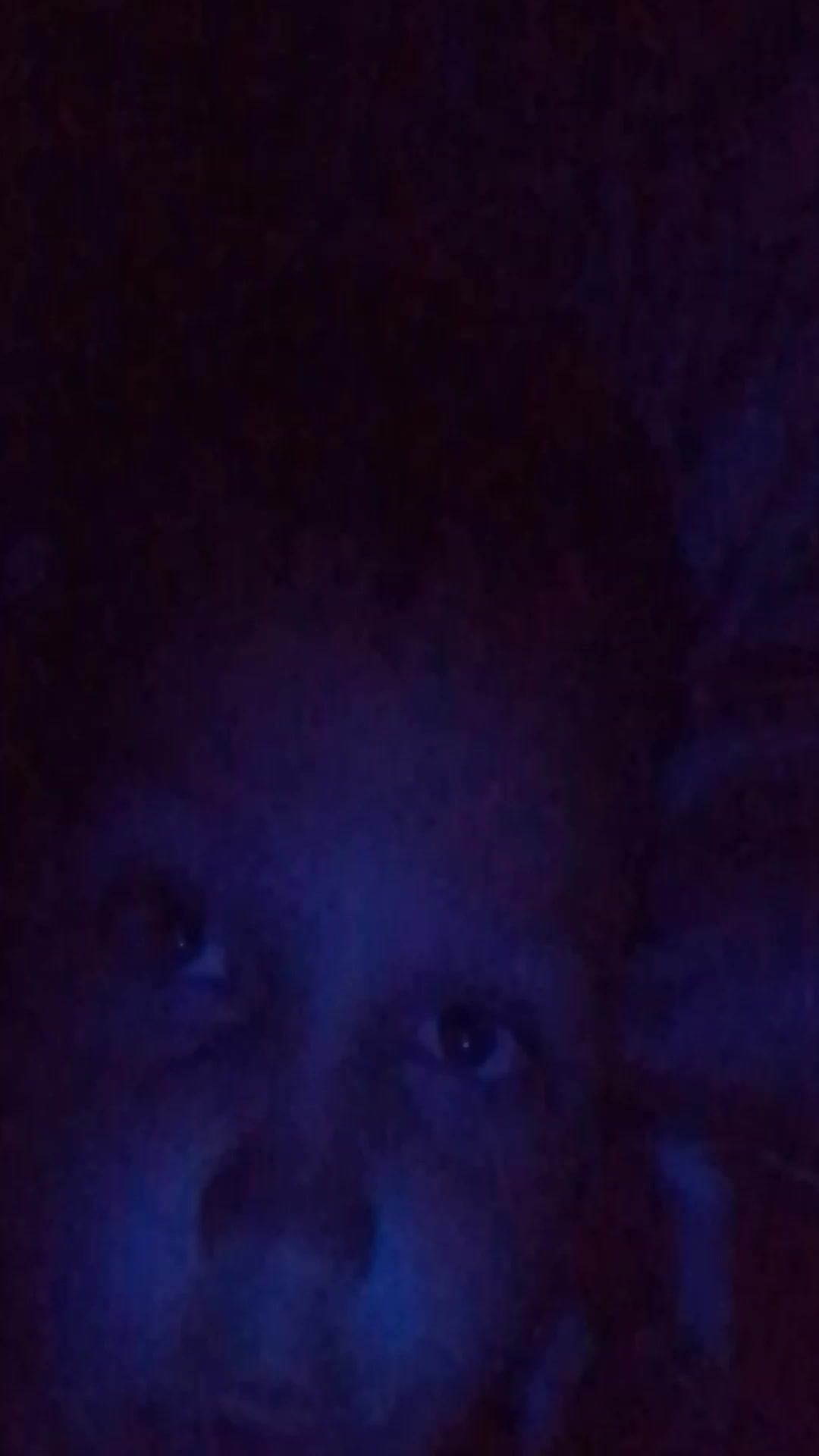 научной стрим смотреть онлайн