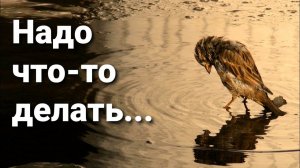 Что же делать? Нужен Ваш совет...