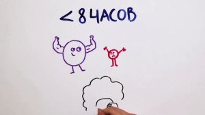 Почему мы толстеем, когда мало спим — Научпок