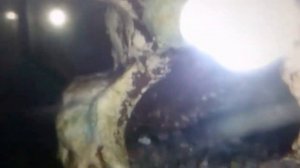 Океанариум в Минск "Открытый ОКЕАН". Моя поездка с классом !!!