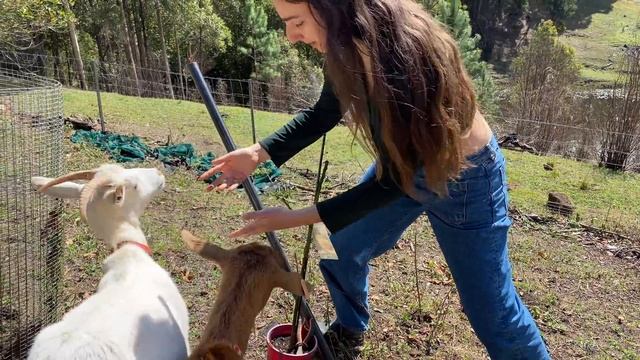 What Makes a Meaningful Life смотреть онлайн