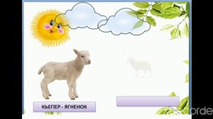 Аварский язык. Урок по теме "Домашние животные"