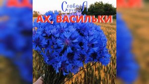 Ах, Васильки - группа Слобода