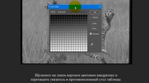 Упражнение 3.8. Тонирование полутонового изображения AdobePhotoshop