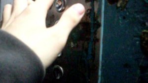 Электрический лифт V=0.71 м-с, грузоподъемность 320 кг (113)