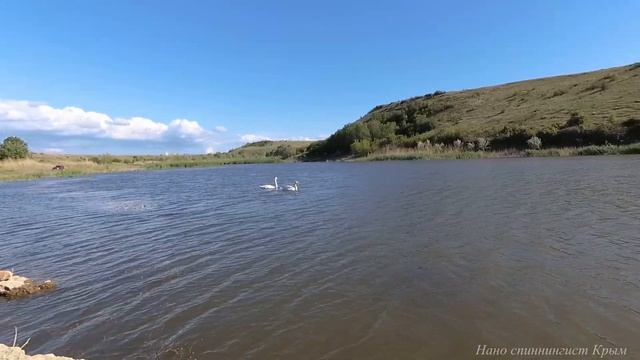 Рыбалка-болталка на озере в Отрадном. смотреть онлайн