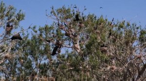 АСТРАХАНЬ 2023!  БАЗА ОТДЫХА FISH-CLUB! ОТДЫХ НА ПРИРОДЕ! ОХОТА И РЫБАЛКА АСТРАХАНСКАЯ ОБЛАСТЬ