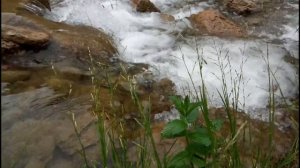 Горный Ручей / Шум Ручья / Релаксация Для Души