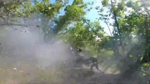 Сводка МО РФ о ходе проведения СВО (за период с 8 по 14 июня 2024 г.)