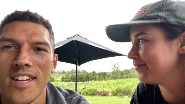 Protea planting - Cut Flowers Queensland смотреть онлайн