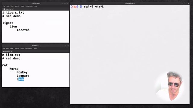 Linux tips | export environment variables | use sed to update multiple files