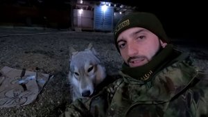 Волкособ Аяврик не подпускает к себе. Обнимашки с Луной и Колобком. Питбули драгон лайф.