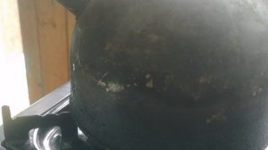 Хутор в Беларуси. Продолжаю очистку територии.