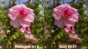 Panasonic S1 ll vs Sony ZV E1 camera test Comparison