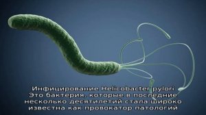 Правила применения и список антибиотиков при крапивнице
