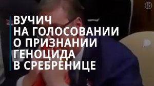 Вучич поблагодарил тех, кто голосовал против резолюции о геноциде в Сребренице, — Коммерсантъ