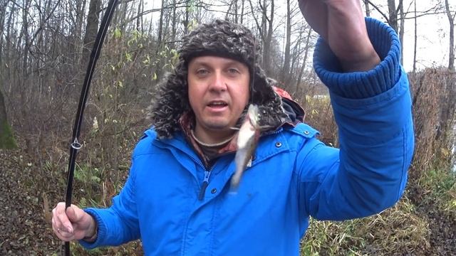 Рыба видит за 20 метров. Как надевать мотыль Осенью на Рыбалке. Наживка мотыль. Как хранить мотыль.