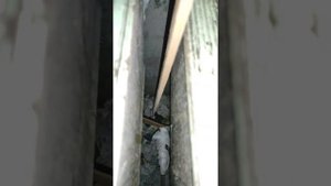 Как достать тлефон из шахты лифта? Или что делать если упал телефон в шахту лифта?