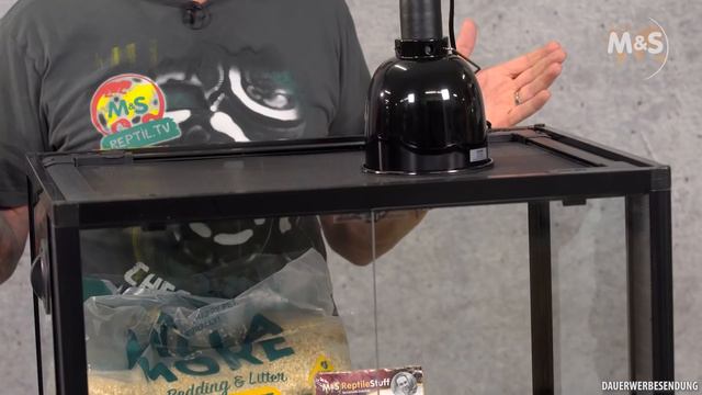 Lampropeltis Basic | Kettennatter, Königsnatter oder Milchnatter? смотреть онлайн