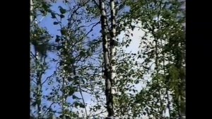 Светлогорск заполярный, 2000 год. Вид на Курейку сверху