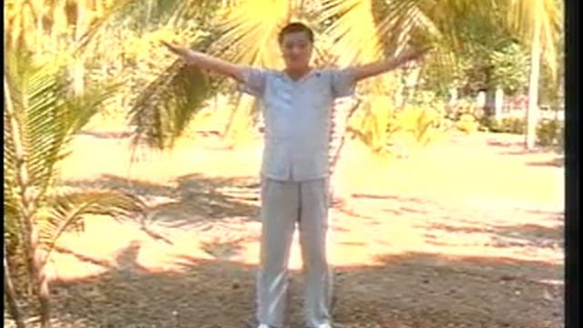 Сhinese Soaring Crane Qigong Part 2