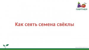 Как сеять семена свёклы