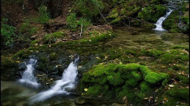 Медитация #8 Избавление от обид смотреть онлайн