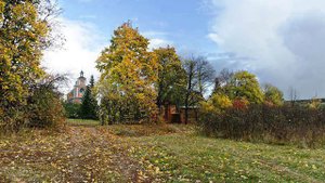 Красный куток