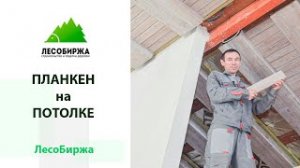 Как мы скомбинировали планкен из лиственницы и фальшбалки на потолке