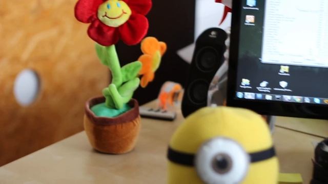 Touch Focus Test Canon EOS650d/T4i / EF 50mm f1.8 смотреть онлайн