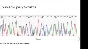 А.Н.Русакович "Секвенирование по Сенгеру..."/A.N.Rusakovich ”Sanger sequencing...”
