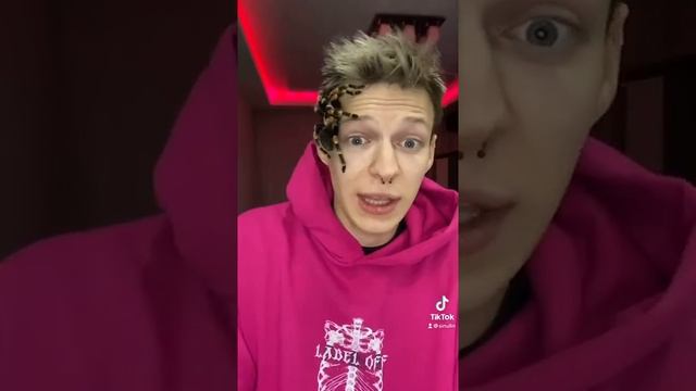 TikTok: ядовитый паук на лице ?