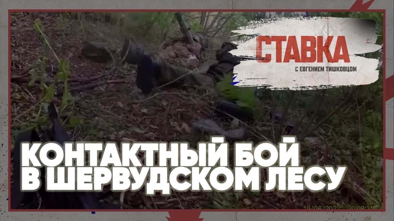 ⚡️Контактный бой в Шервудском лесу | Видео от первого лица | Работают морпехи | СВО лучшее видео