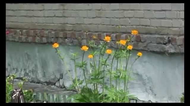 Жарки Линево смотреть онлайн