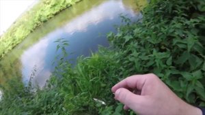 Июльская жара, Десна, ультралайт.mp4