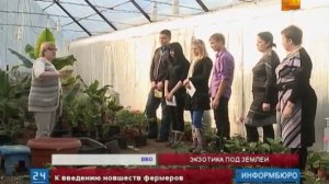 Уникальную подземную теплицу построили в ВКО