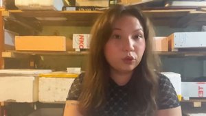 Куда сбывать червей? Как я продаю червей #дендробена?