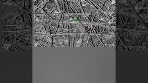 Arken Zulus 5-20x Field Mice Pesting