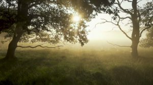 Природа красивые виды