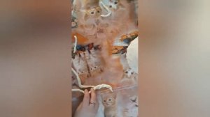 Мастер класс "Каравай из солёного теста"