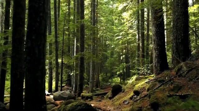 Гарри Поттер и Узник Азкабана смотреть онлайн