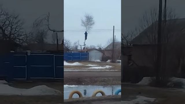 Мужикам нечем топить баню )))) 1 часть . смотреть онлайн