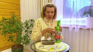 Чудо-коктейль для роста петуний