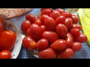 Деликатесные томаты