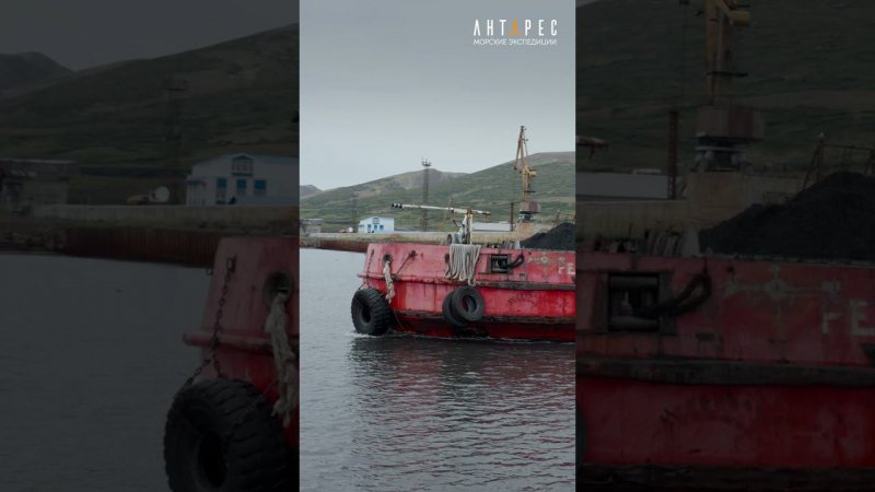 Морской торговый порт Беринговский #antares_east  #beringsea #shorts #travel #catamaran #seaport