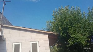 Голуби)О размерах Голубятни ?